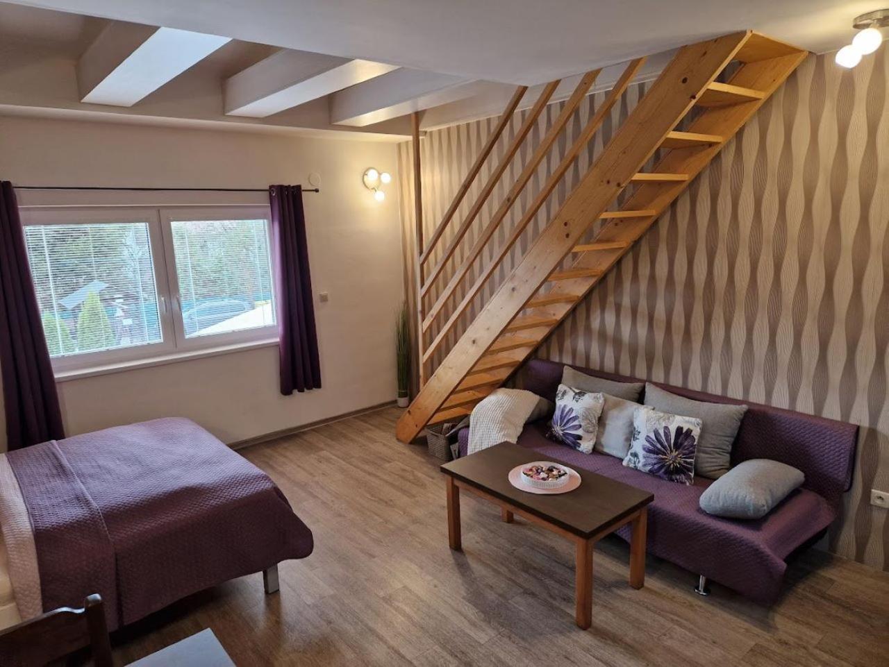 Apartmany Sophia 5 A 6 Velké Losiny Zewnętrze zdjęcie